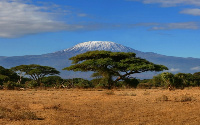Le Kilimandjaro depuis Amboseli en safari au Kenya