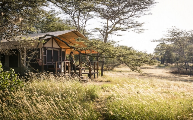 Safari Tanzanie en avions taxis et petits camps de toile