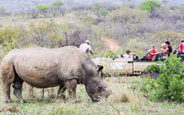 Safari en 4x4 en voyage en Afrique du Sud
