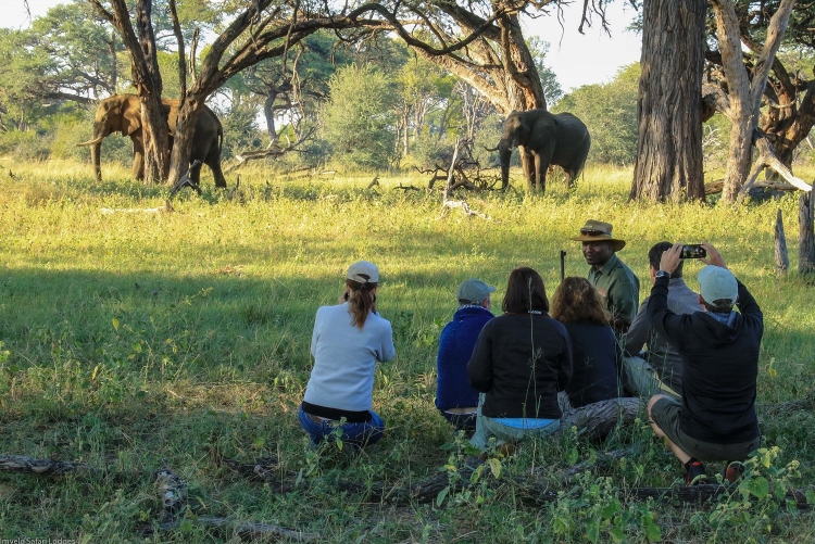 Safari à pied Zimbabwe