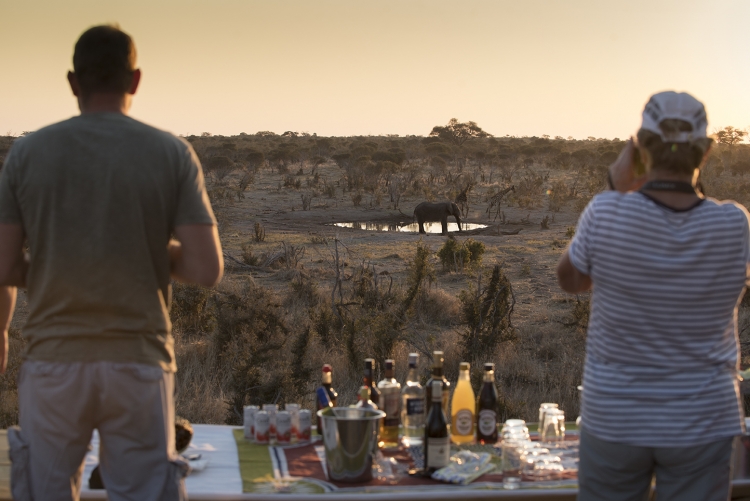 Safari en Afrique : un safari est ce bon ?