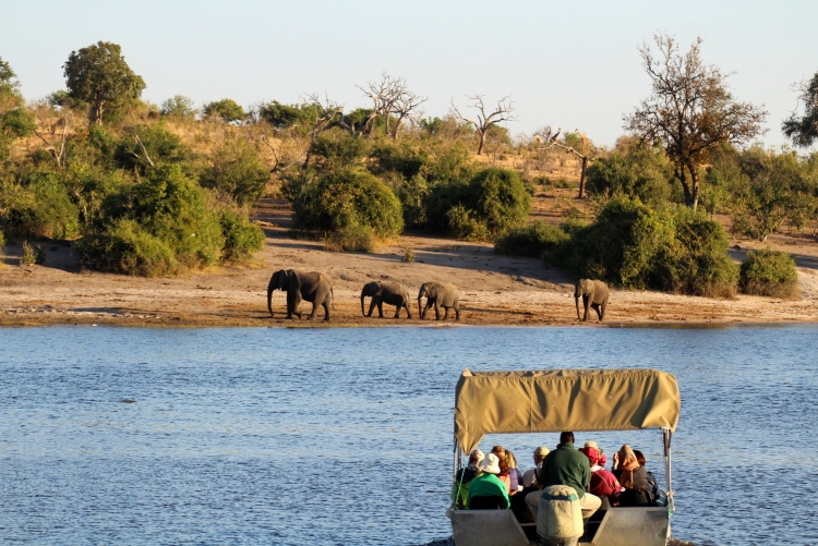 Croisière Chobe Botswana