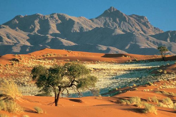 autotour Namibie
