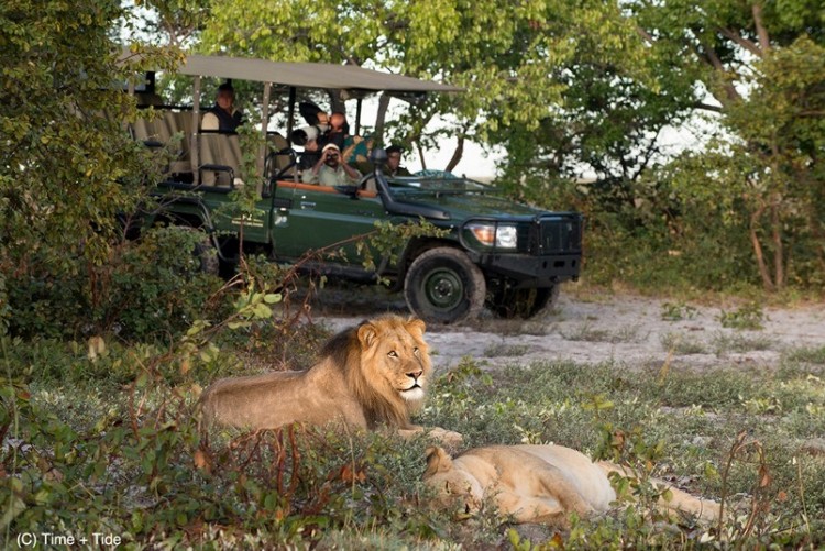 Safari en famille Zambie