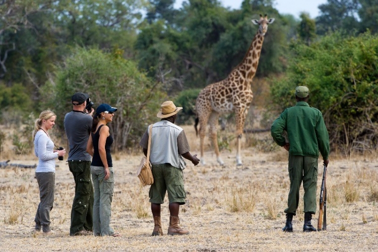 Safari à pied Afrique