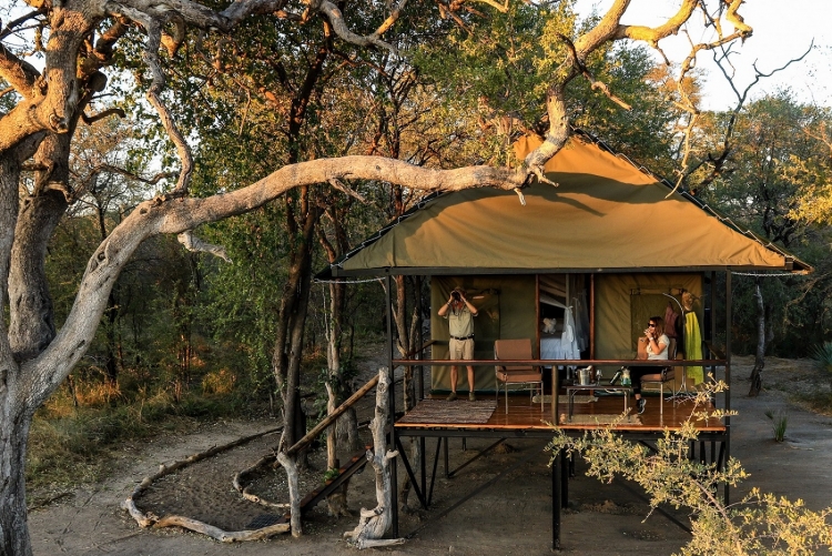 Camp de safari Hwange Zimbabwe