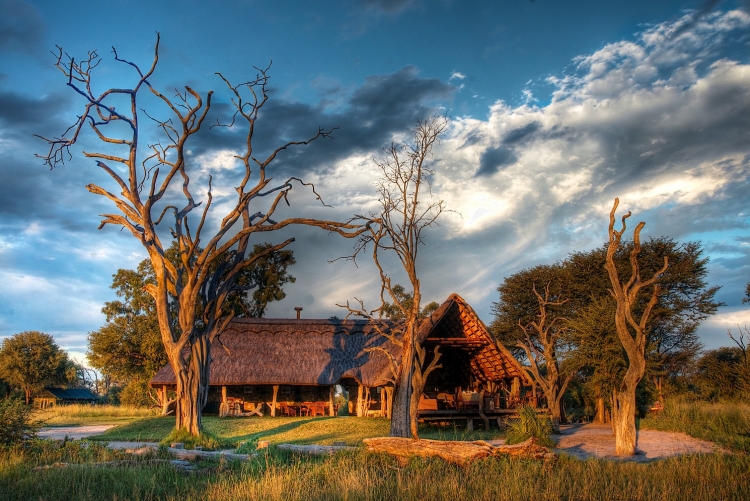Séjour Hwange safari Zimbabwe