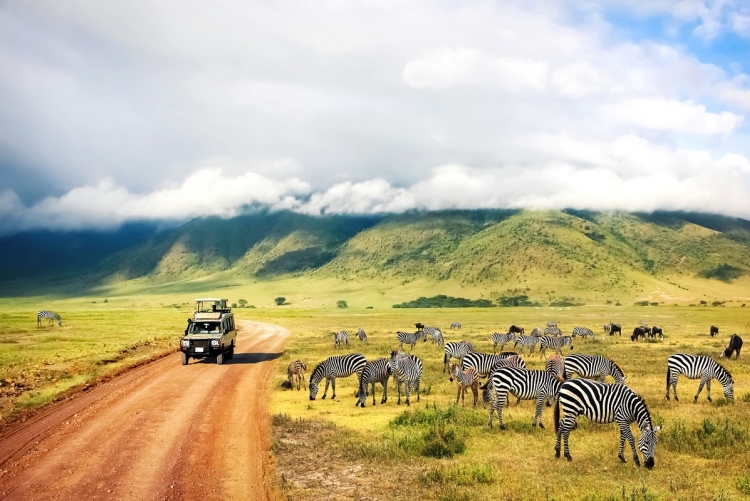 Safari Tanzanie en famille