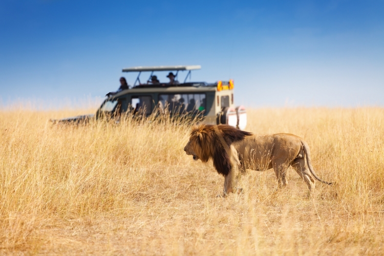 Safari familial en Tanzanie en 4x4 privé