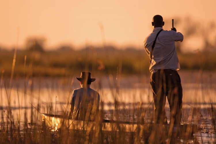 Safari Okavango - Safari Botswana