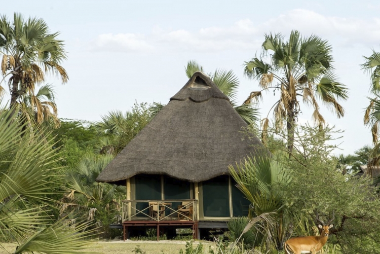 Safari Tanzanie, séjour à Tarangire