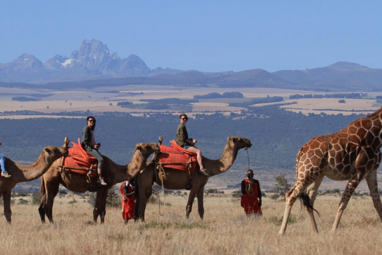Safaris à pied Kenya