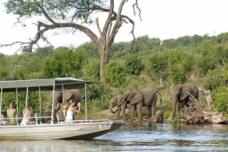 Safari Botswana luxe