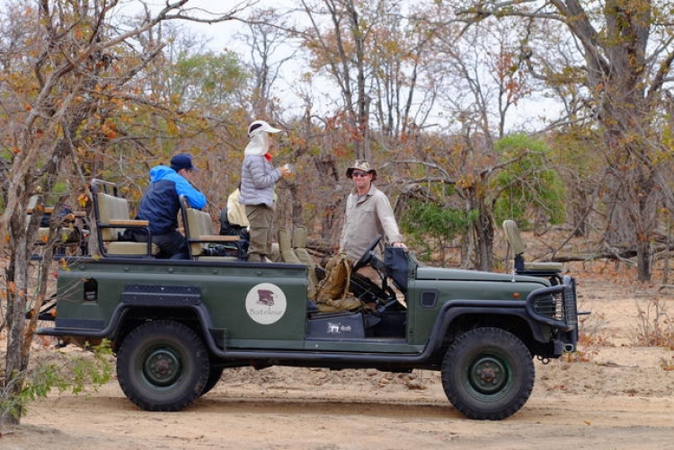 Safari Afrique du Sud Timbavati en lisière du Kruger
