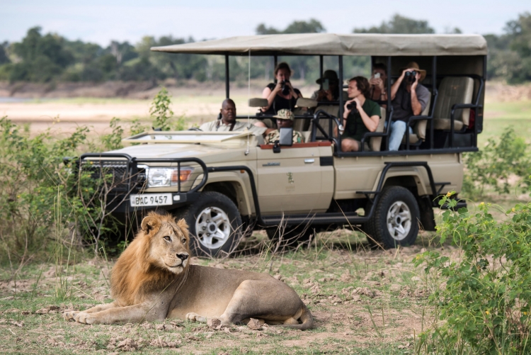 Safari en Zambie dans la South Luangwa