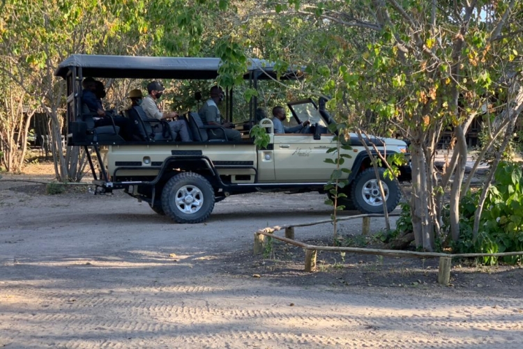 Safari à Khwai Expedition Camp au Botswana