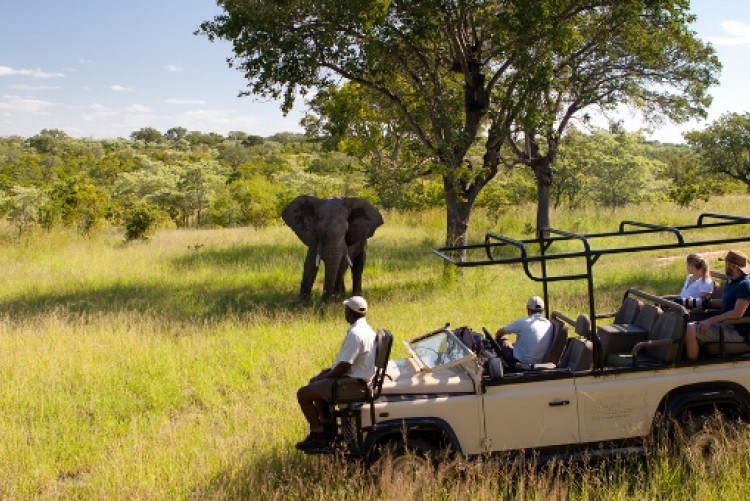 Safari prix Afrique du Sud
