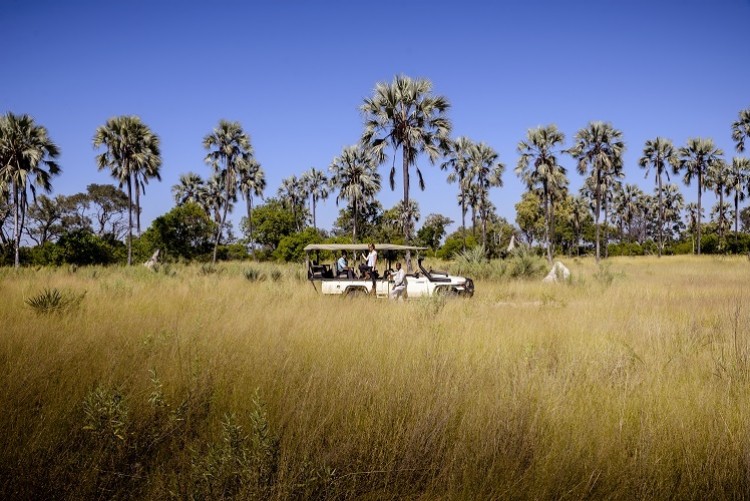 Safari en 4x4 Botswana