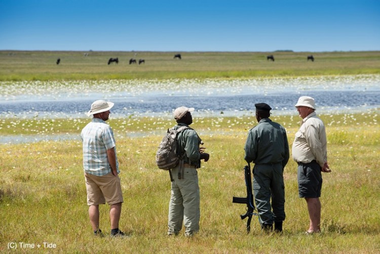 Safari à pied dans le parc de Liuwa Plain en voyage sur mesure en Zambie