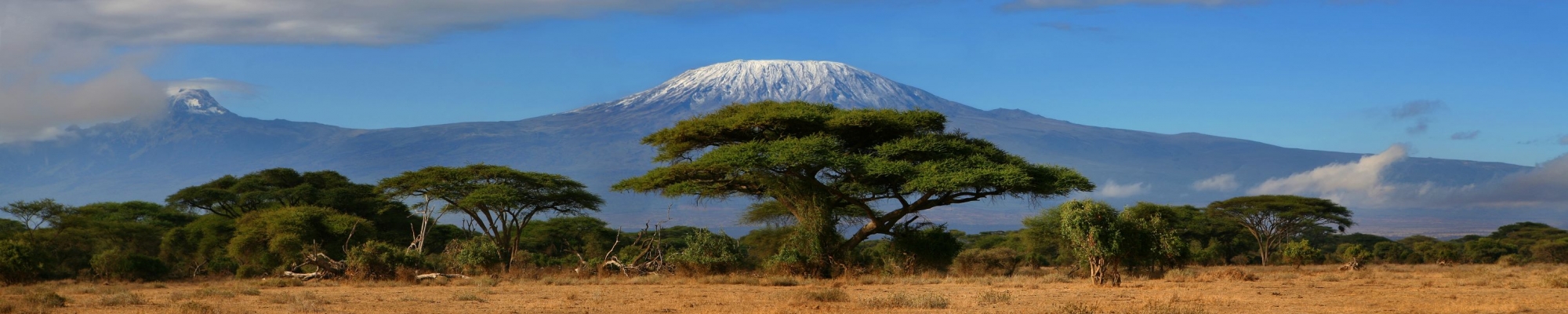 Le Kilimandjaro depuis Amboseli en safari au Kenya