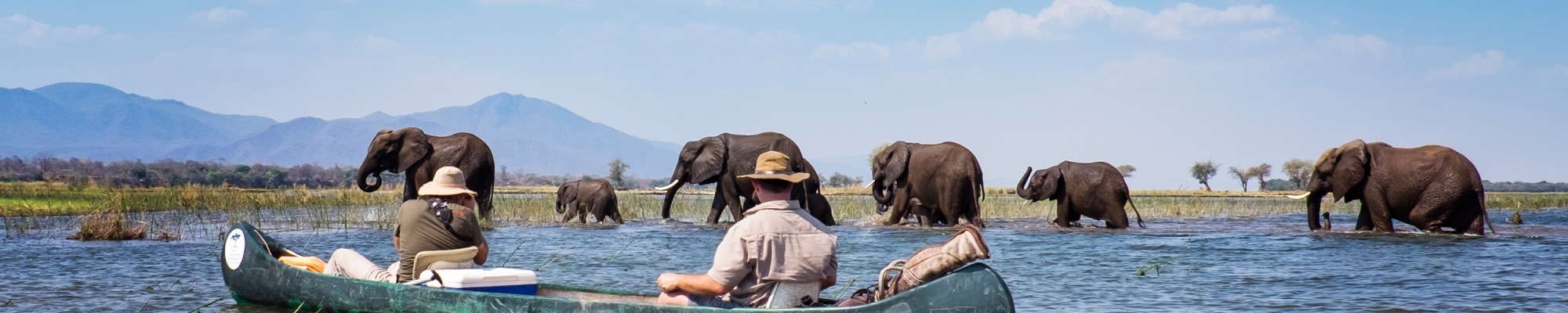 Safari famille Zimbabwe